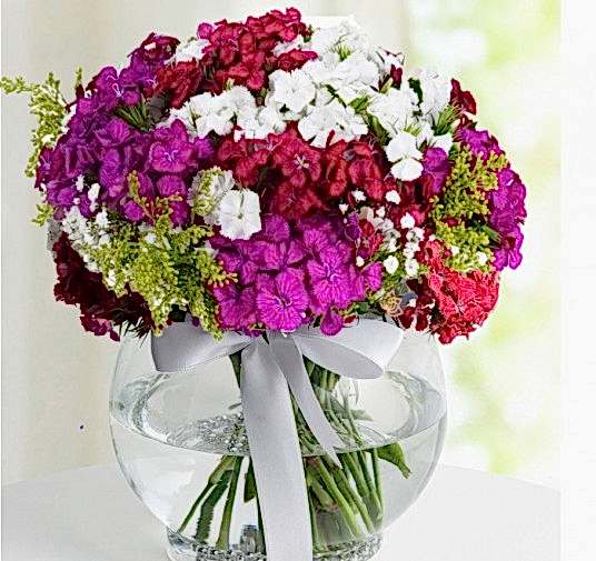 Special Wildflowers 