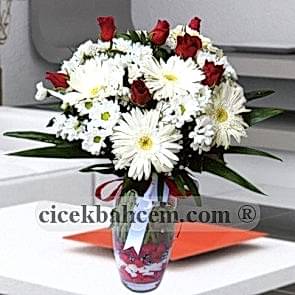 Beyaz Gerbera ve Kırizantem 5 Adet Kırmızı Gül SA496