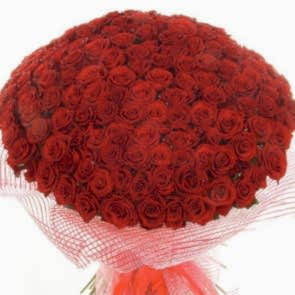 201 Adet Kırmızı Gül Buketi ''Sen - Benim Dünyasın''
