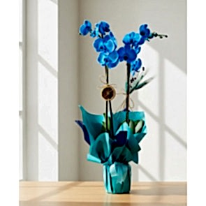 Mavi Orkide ® Blue Orkide