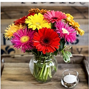 "Aşk Çümbüşü" Renkli Gerbera