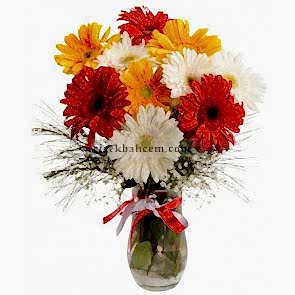 Cam Vazoda Papatya, Renkli Gerbera