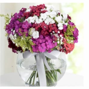 Special Wildflowers 