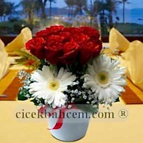 Kırmızı Gül ve Beyaz Gerbera Aranjmanı 