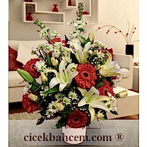 Kırmızı Gerbera ve Beyaz Gül, Lilyum Aranjmanı 