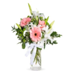 "Bahar Geldi" Pembe Lilyum, Gerbera