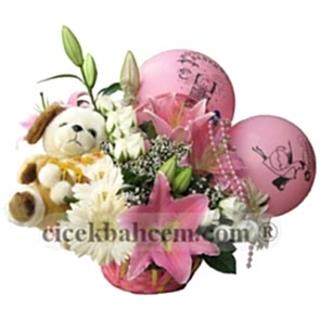 Pembe Gerbera ve Kokulu Lilyum, Hoşgeldin Bebek