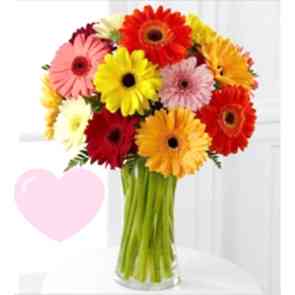 Renklerin Dansı Renkli Gerbera Papatya Aranjmanı