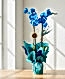 Mavi Orkide ® Blue Orkide