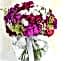 Special Wildflowers 