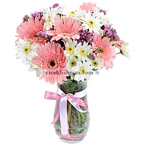 Cam Vazoda Pembe Gerbera ve Kırizantem Çiçek Tasarımı