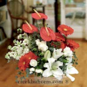 Örme Sepete Kırmızı Antorium, Beyaz Gül ve Kırmızı Gerbera Aranjmanı