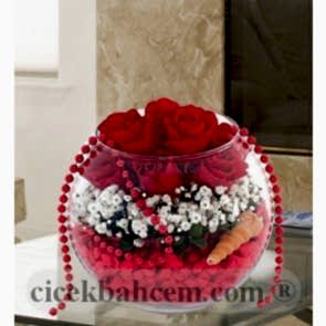 Cam Fanus İçerisine 7 Kırmızı Gül
