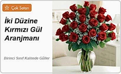 Elegant 27 Kırmızı Gül