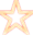 Uzman Çiçekçi